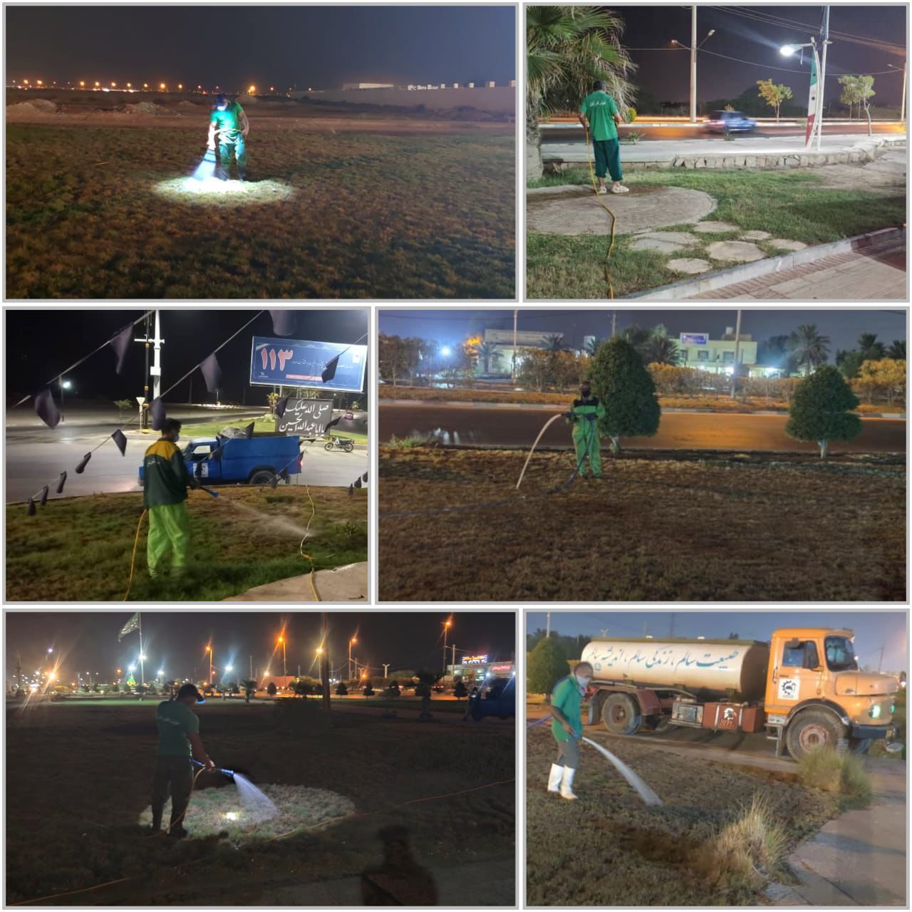 آغاز سم‌پاشی فضای سبز بوشهر برای مقابله با آفات