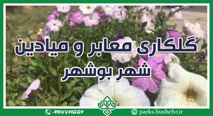 گلکاری معابر و میادین شهر بوشهر